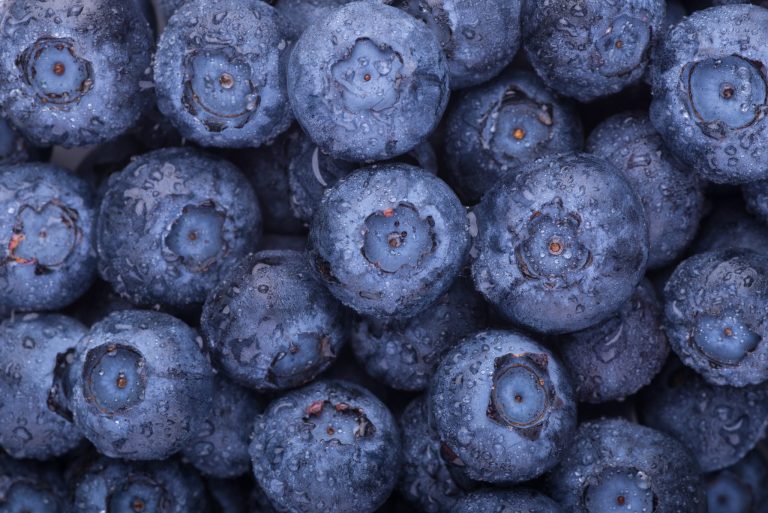 Blueberries Western Veg Pro, Inc. Fruit & Vegetable Growers & Shippers